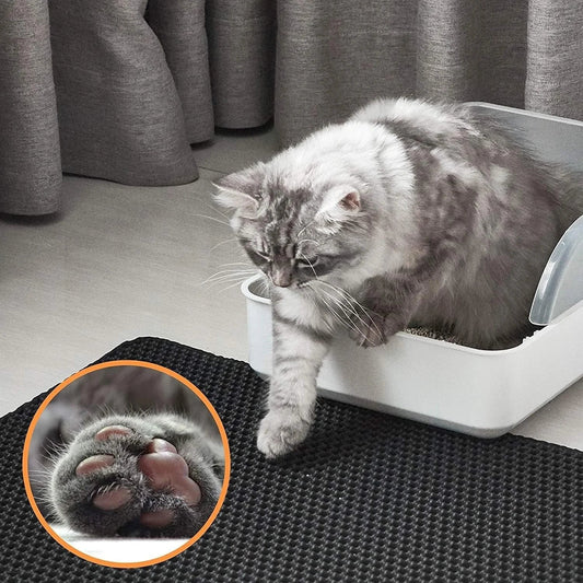 Grey cat stepping off a litter box onto the Purrmint litter catcher mat