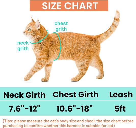 Cat wearing the wrap-style harness outdoors