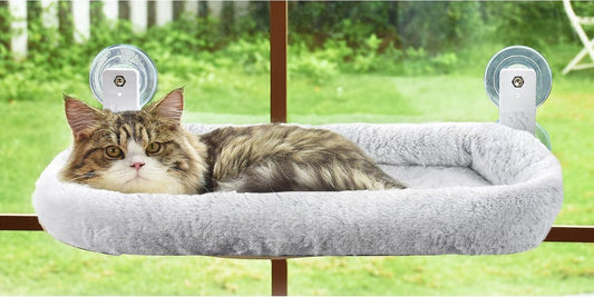 Tabby cat lying in a grey fluffy window bed held to the glass by two suction-cup brackets, with a garden outside