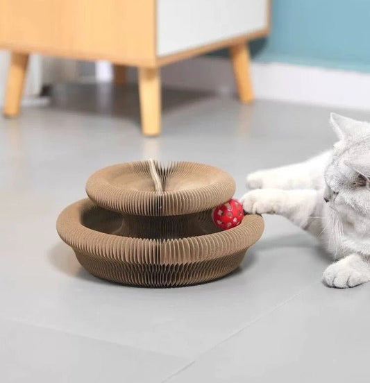 White cat lying on the floor pawing a red bell ball in a two-tier cardboard accordion scratcher