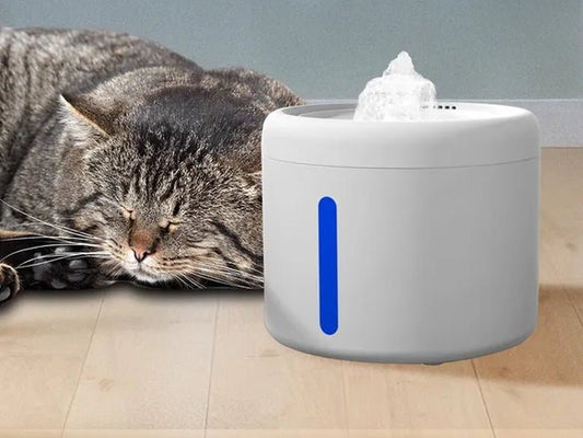Tabby cat asleep on a wooden floor beside a round white running-water cat fountain with water bubbling from the top and a blue-lit level window