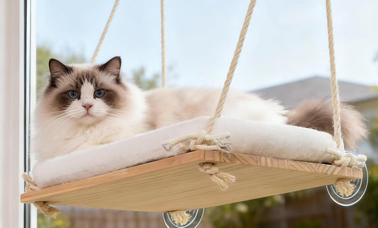 Ragdoll-type cat on a wooden window hammock with a cream cushion, hung on cotton ropes, with clear suction cups under the board pressed to the glass
