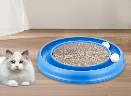 Blue round track scratcher with two white balls on a wooden floor, with a fluffy white and grey cat lying beside it