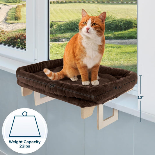 Ginger and white cat sitting on the brown window bed, with size markings and a weight icon