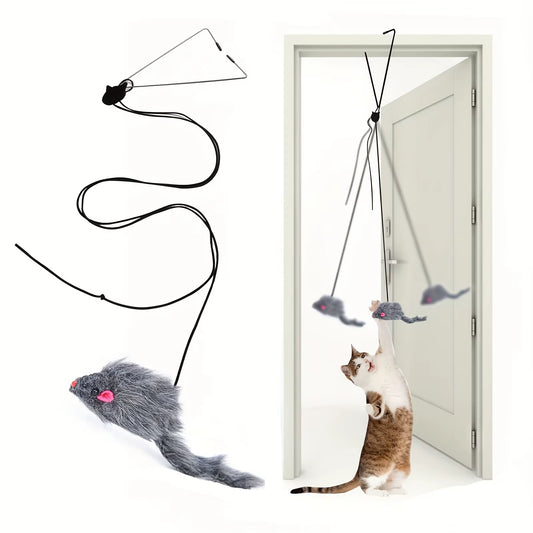 Door-Hanging Cat Toy — Stress Relief