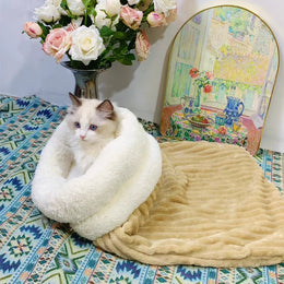 Ragdoll-type cat sitting in the white fluffy cuff opening of a tan ribbed plush sleeping sack, next to roses and a painting
