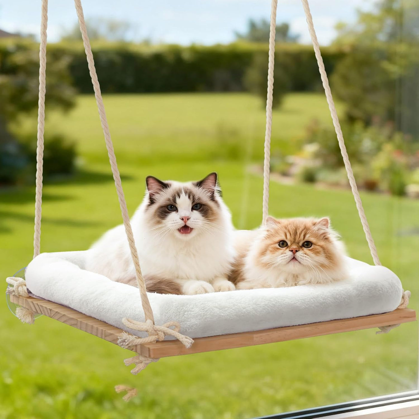 Large Cat Window Perch Hammock, Solid Wood Seat & Plush Cushion | 4 Heavy-Duty Suction Cups, Sturdy Wooden Perch for XL & Large Cats, Comfortable Indoor Window Cat Bed & Hammock