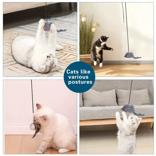 Door-Hanging Cat Toy — Stress Relief