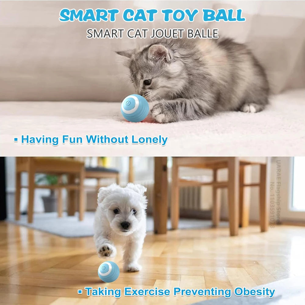 Smart Rolling Ball — Self-Driving, USB-C