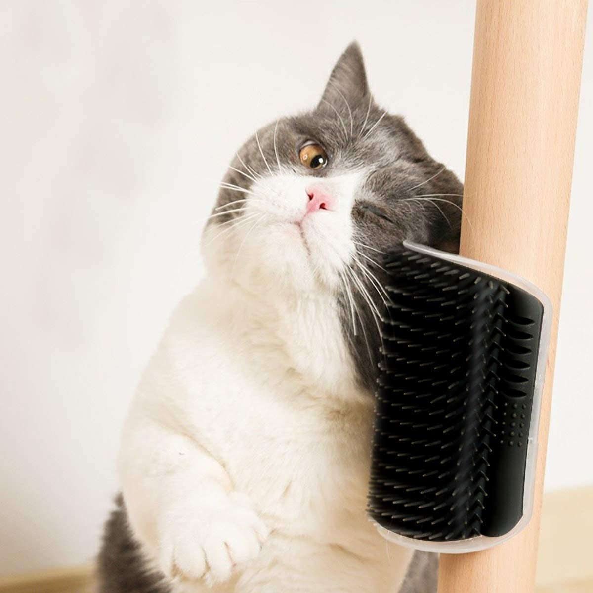 Grey and white cat rubbing its cheek against the self-groomer mounted on a table leg