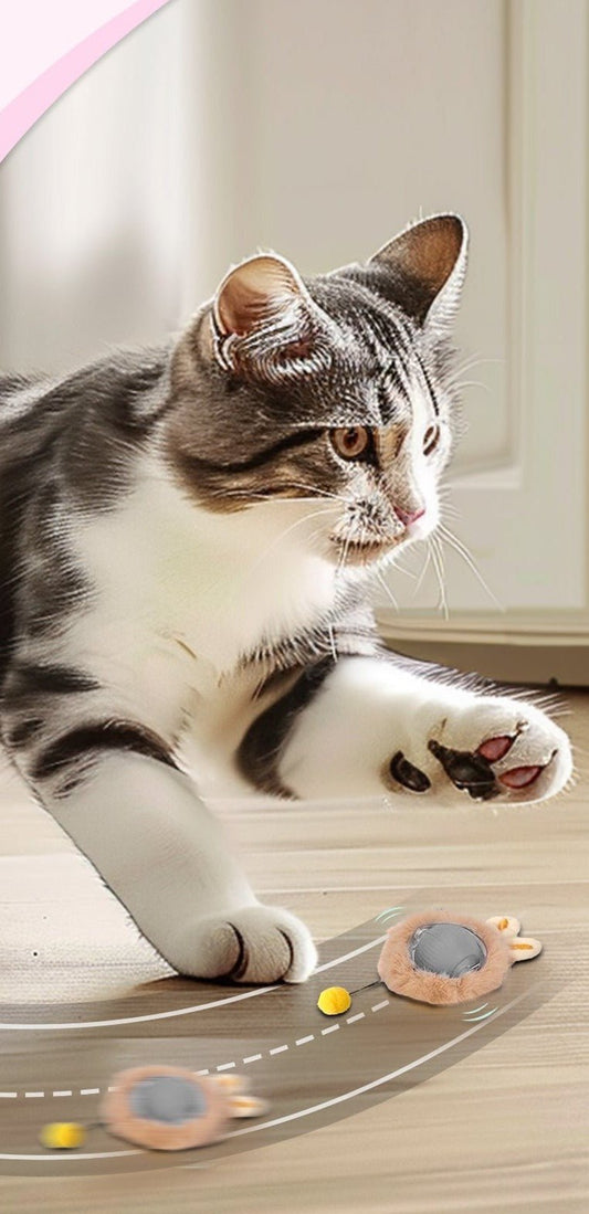 Tabby cat stepping towards rolling balls in fluffy bunny-ear covers on a wooden floor, with motion lines behind them