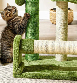 Tabby kitten reaching up to scratch the green sisal post of the cactus scratcher, with the sisal roller and natural sisal post in front