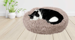 Black and white cat asleep in a beige-brown shaggy donut bed on a wooden floor, beside potted plants