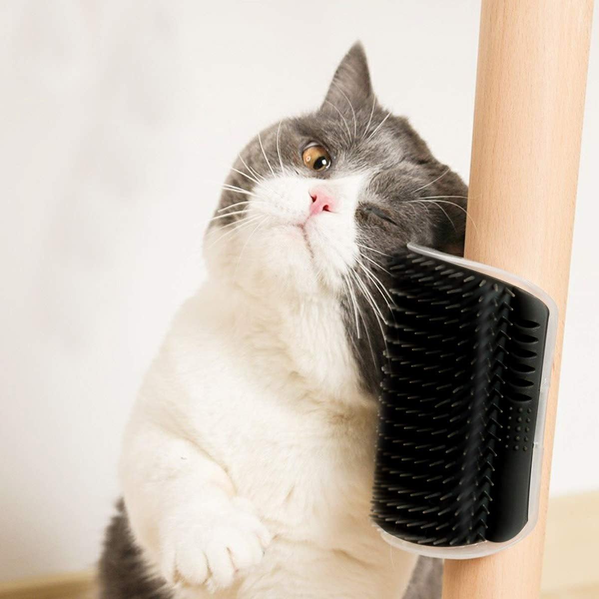 Grey and white cat rubbing its cheek against the self-groomer mounted on a table leg