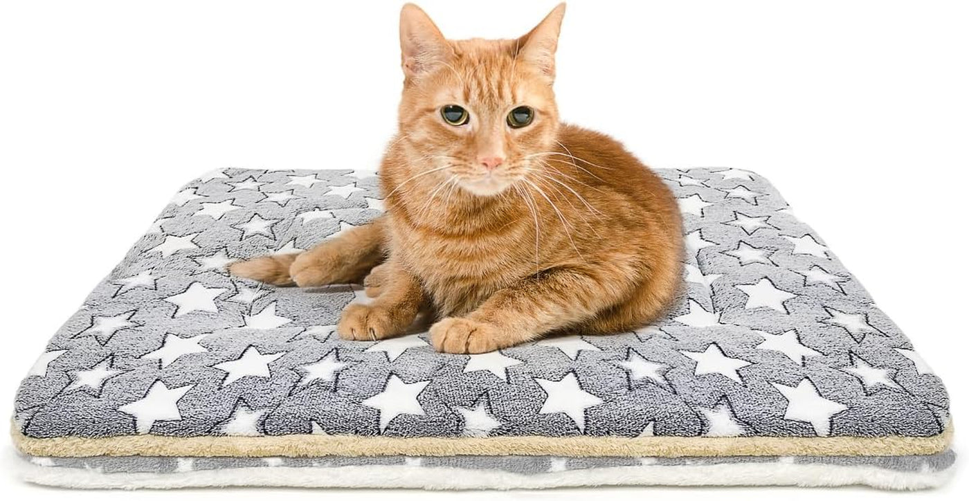 2 Pack Cat Blanket for Indoor Cats, Ultra Soft & Warm Calming Bed | Fleece Pet Mat for Anxiety and Stress, Washable Kitten Blanket
