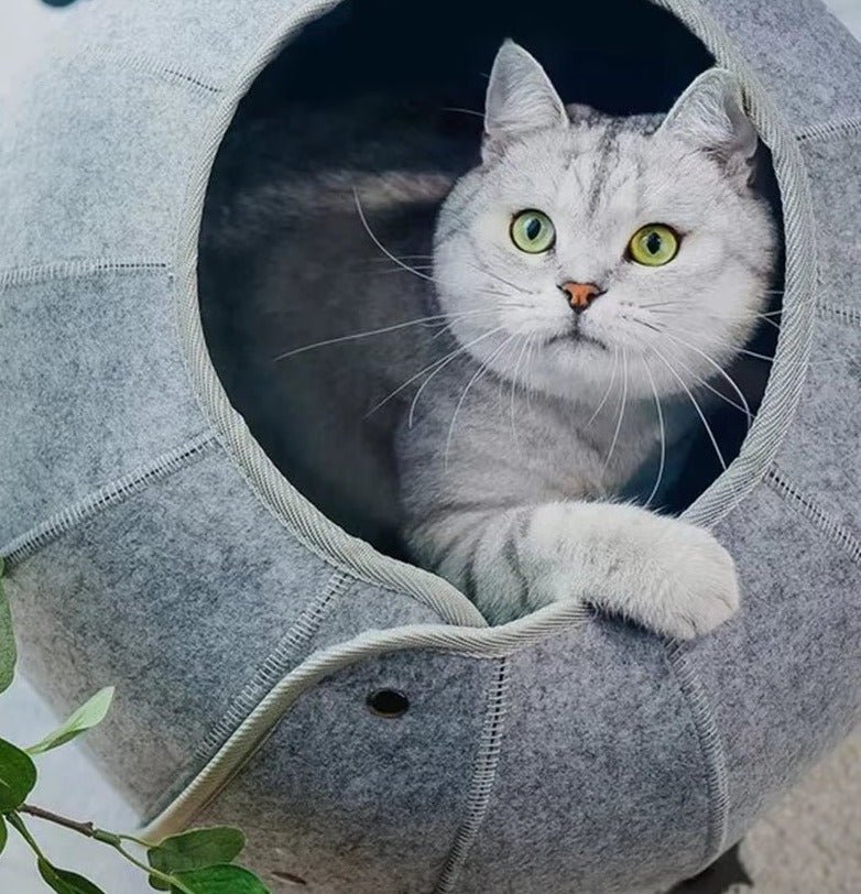 Silver tabby cat looking out of the round opening of a grey felt cat cave, one paw over the rim