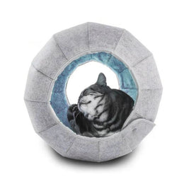 Tabby cat curled up asleep inside a grey felt ring with a blue lining, on white