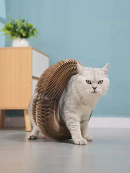 White cat walking through the cardboard accordion scratcher opened into an arch