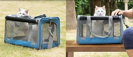 Two white cats looking out of the top opening of the blue mesh carrier, one on grass and one on a wooden bench