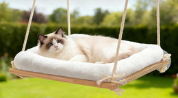 Ragdoll-type cat lying on the thick cream cushion of a rope-hung wooden window hammock, with a garden outside