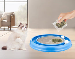 Hand sprinkling dried catnip from a small bag onto the cardboard pad of a blue track scratcher, with a ragdoll-type cat sitting beside it